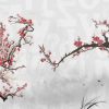 carta_da_parati_floreale_orientale_cherry-blossom_torino