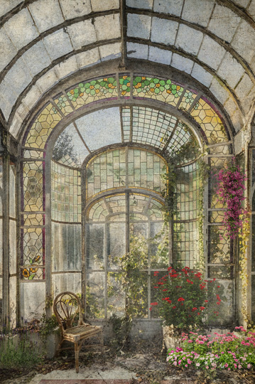 carta_da_parati_classica_classica_floreale_victorian_greenhouse_torino