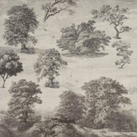 "Carta da parati Meriggio con alberi ad alto fusto in stile incisione antica su fondo materico grigio lino, ideale per uffici, living e zone notte eleganti."