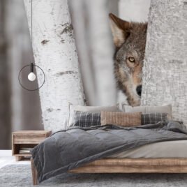 Suggestiva carta da parati denominata Steppenwolf: in un bosco di betulle bianche invernali, il primo piano del muso di un lupo emerge da dietro un tronco con sguardo intenso e penetrante.