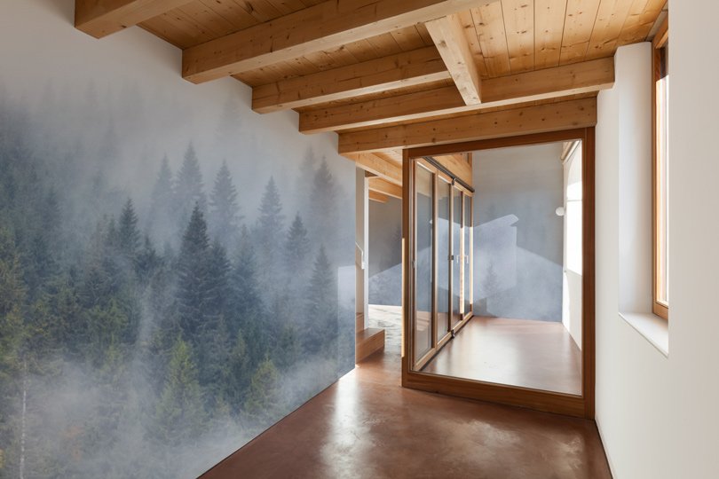 "Grazie alla sua capacità di fondere il calore del primo piano con la profondità eterea dello sfondo, Walden è la scelta ideale per portare la quiete maestosa del paesaggio alpino all'interno della tua casa, evocando il silenzio avvolgente che solo la vera montagna sa regalare." Carta da parati paesaggistica Walden: scena autunnale con nebbia. In primo piano, un grande albero rosso e arancione su prato dorato; sullo sfondo, bosco di pini verde scuro che sfuma nel bianco della nebbia.