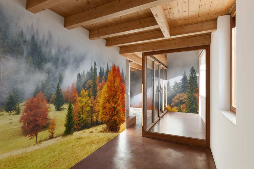 "Grazie alla sua capacità di fondere il calore del primo piano con la profondità eterea dello sfondo, Walden è la scelta ideale per portare la quiete maestosa del paesaggio alpino all'interno della tua casa, evocando il silenzio avvolgente che solo la vera montagna sa regalare." Carta da parati paesaggistica Walden: scena autunnale con nebbia. In primo piano, un grande albero rosso e arancione su prato dorato; sullo sfondo, bosco di pini verde scuro che sfuma nel bianco della nebbia.